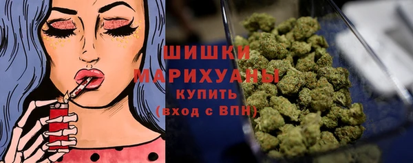 прущие грибы Нефтекумск