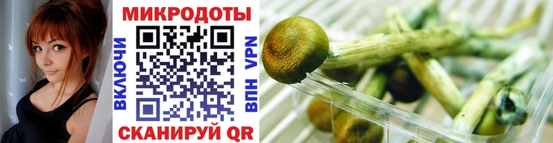 Галлюциногенные грибы Cubensis  Хвалынск 
